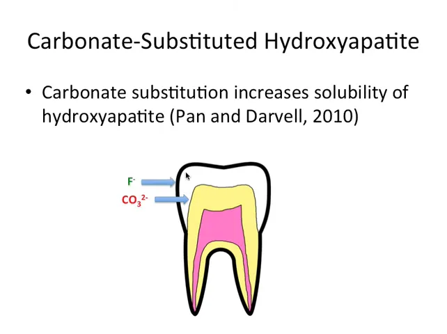 Reamintire: fluorizarea protejează stratul exterior al smalțului