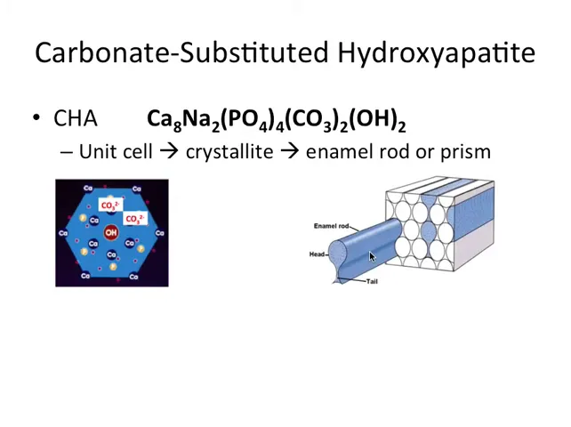 Ilustrare a prismelor de smalț, forma de cheie