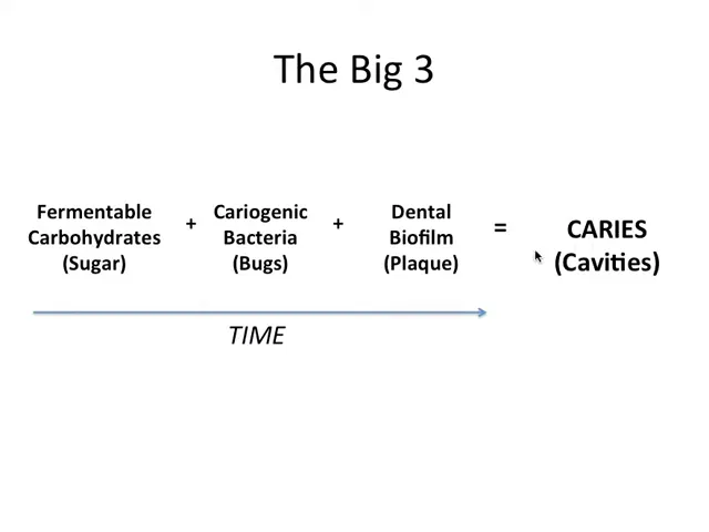 cronologie a progresiei cariei dentare